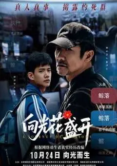 2025年国产剧情《向光花盛开》HD国语中字 [迅雷BT磁力免费下载]