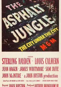 1950年美国经典犯罪片《夜阑人未静》蓝光中英双字 [迅雷BT磁力免费下载]