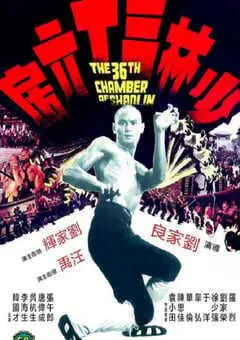 1978年中国香港经典动作片《少林三十六房》蓝光国语中字 [迅雷BT磁力免费下载]