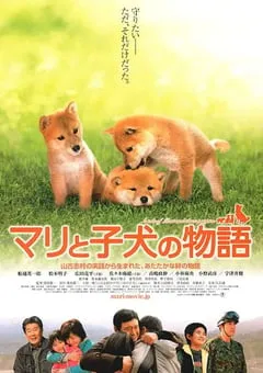 2007年日本经典剧情片《爱犬的奇迹》蓝光日语中字 [迅雷BT磁力免费下载]