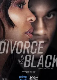 2024年美国剧情片《离婚怨曲》HD中英双字 [迅雷BT磁力免费下载]