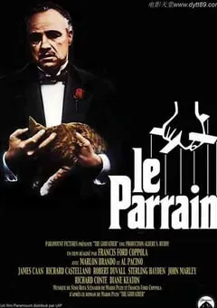 1972年美国经典剧情片《教父》蓝光国英双语双字 [迅雷BT磁力免费下载]
