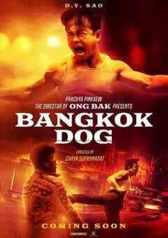 2024年泰国动作片《曼谷战狼》HD英语中字 [迅雷BT磁力免费下载]