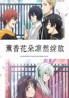 2025年日本动漫《薰香花朵凛然绽放》全13集 [迅雷BT磁力免费下载]
