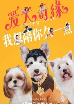 2023年国产爱情片《爱犬奇缘》HD国语中字 [迅雷BT磁力免费下载]