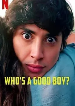 2022年墨西哥喜剧片《谁是好男孩》BD西班牙语中字 [迅雷BT磁力免费下载]