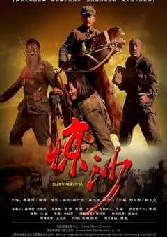 2011年国产经典历史片《惊沙》HD国语中英双字 [迅雷BT磁力免费下载]